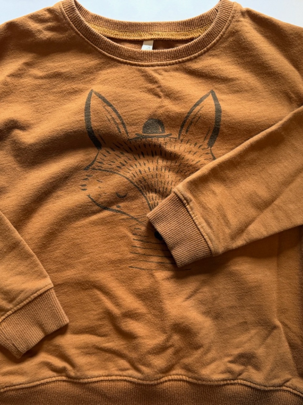 Rylee and Cru kids sweatshirt with fox